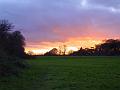 2008-1205-Morden_Park_1550_8C